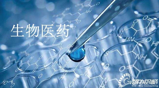 蘇州市生物醫(yī)藥產業(yè)創(chuàng)新（政策性資助）項目