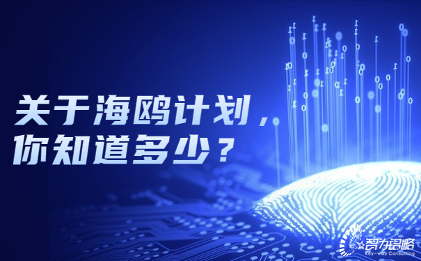 關(guān)于海鷗計(jì)劃，你知道多少？.jpg