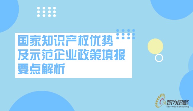 國家知識產(chǎn)權(quán)優(yōu)勢及示范企業(yè)政策填報要點(diǎn)解析.jpg